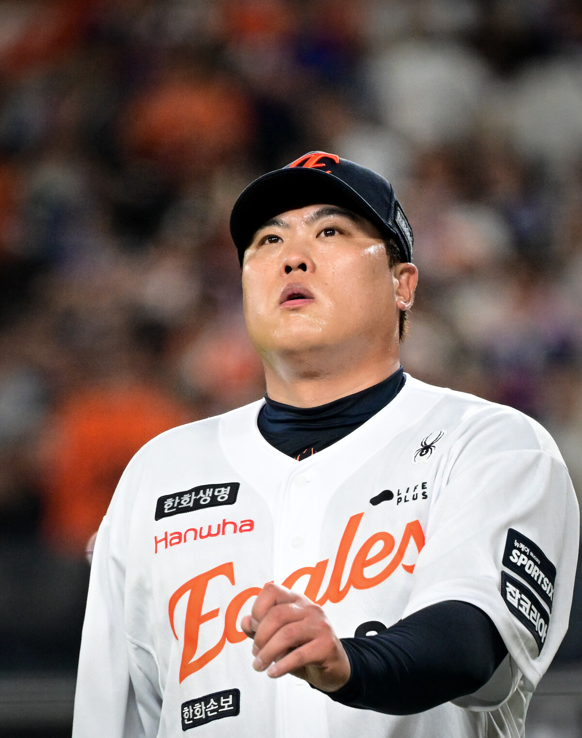 news/images/2026/09/02/류.jpg